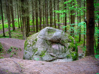 large rocks in green summer forest