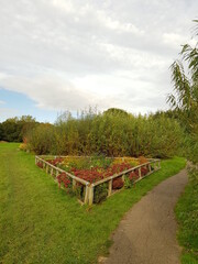 Small flower garden in East town park in haverhil, Suffolk
