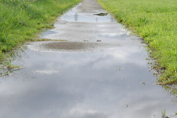 水溜りに映る雲