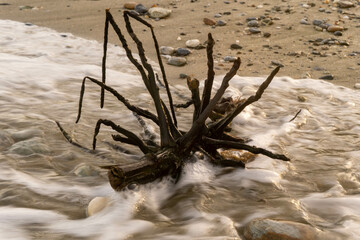 Palm branch on the beach.  After the storm. Tropical shapes and patterms. Aninuan, Mindoro,...