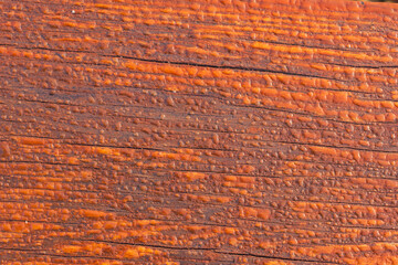 Wooden bench with water droplets