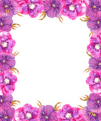 Obraz premium Pansies frame on a white background 2