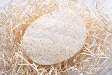 Exfoliating bath shower sponge scrubber on natural background