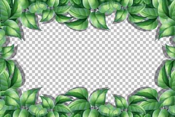 Fototapeta premium Nature plants frame transparent background