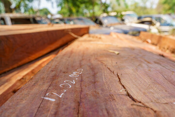 Illegal hardwood in northern Cambodia