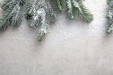 Christmas concept branches and snow top view