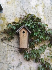 Nistkasten im Garten