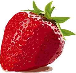 strawberry isolated on white background