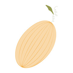 An outline vector illustration of a melon isolated on transparent background. Designed in orange color for web concepts, prints, templates