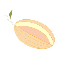 An outline vector illustration of a cut melon isolated on transparent background. Designed in orange and pink colors for web concepts, prints, templates