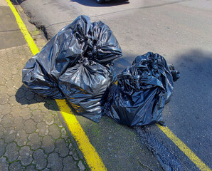 garbage bin in the park