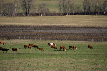 Countryside landscape with farm in Quebec, Canada