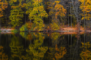 Fototapeta premium Autumn trees reflected in water