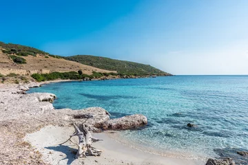 Photo sur Plexiglas Plage de La Pelosa, Sardaigne, Italie Incroyable plage de l& 39 île d& 39 Asinara
