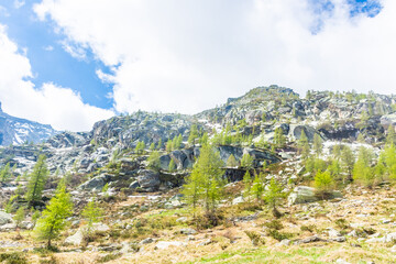 Fototapeta na wymiar Alpine landscape in Gran Paradiso National Park, Piedmont Italy