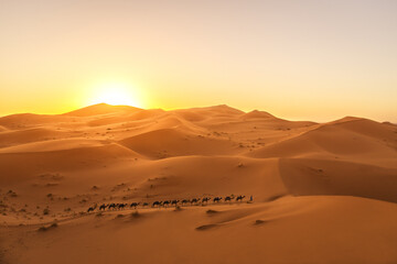 Fototapeta na wymiar Camel caravan in the desert at sunset, Morocco
