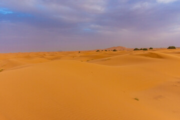 Obraz na płótnie Canvas Beautiful landscape of the dunes of the Sahara Desert at dusk, Merzouga, morocco