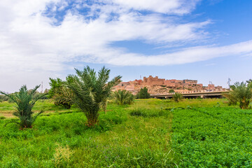 Oasis of Tinghir, little town in Morocco