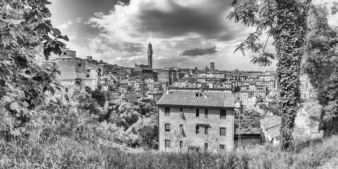 Panoramic view over the picturesque city centre of Siena, Italy