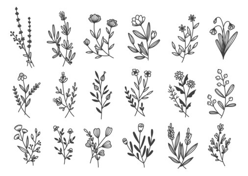 Set of hand drawn nature floral doodles vector illustration