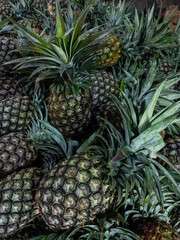 Fototapeta premium pineapple on the market