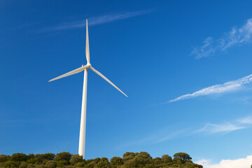 Fototapeta premium Green energy concept view
