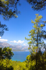 Fototapete bei efototapeten.de bestellen   