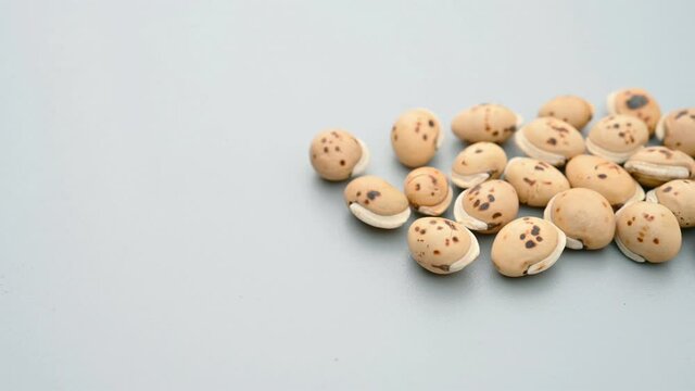 angle pan herb ChaoBaiBianDou or Lablab Semen Album or Stir Fried White Hyacinth Bean