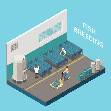 Industrial Fishing Isometric View