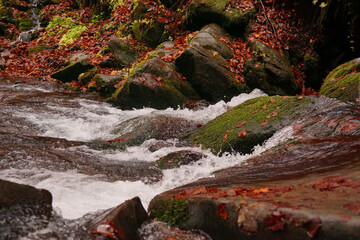 Carpathian mountain waterfall Shypot. Autumn landscape with a waterfall. Close-up of water
