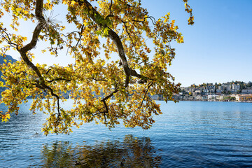 Luganersee im Herbst bei Lugano, Kanton Tessin, Schweiz