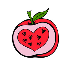 Apple in heart shape. Happy Valentines day hand-drawn decorations. Vector illustration in doodle style.