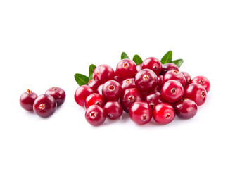 Cranberries berry. Sweet lingonberry.