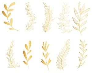 Set of golden botanical branches, vector illustration. Graceful natural twigs with leaves for the design of cards and congratulations. Hand drawing collection of leaves.