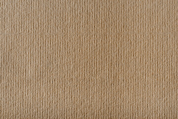 Fototapeta premium Craft design paper texture. Background for design.