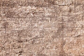 Background texture old  wooden board.