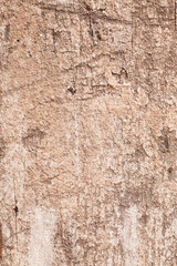 Background texture old  wooden board.