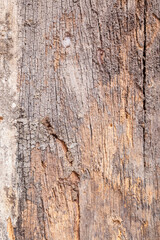 Old wooden board background.