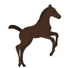 foal flies in flat style vector, isolated