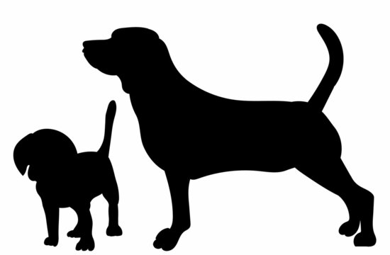 black silhouette dog and puppy vector, isolated