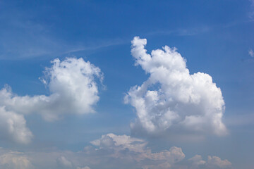  Elephant shape clouds on blue sky