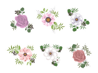 Flower set isolated on white background. Collection for t-shirt, print material, cloth and textile. For invite and wedding card, wallpaper, poster, greeting card. Flower roses, vector illustration