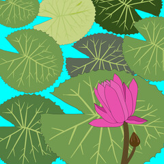 Bright pink lotuses are about to bloom in the morning, green lotus leaves line up in the background. connected in all directions on a white background used as a fabric pattern