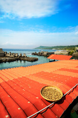 Kenting coast during a sunny day, Taiwan