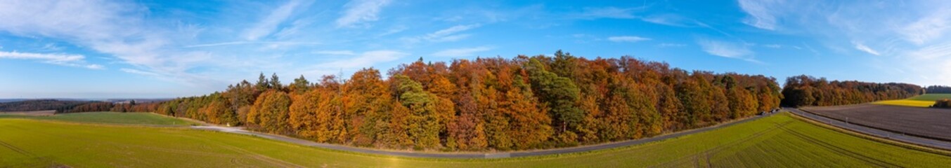 Panorama from a bird's eye view of an autumnal discolored forest in the Taunus / Germany 