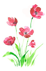 Summer bouquet painted by watercolor. Hand drawn illustration.