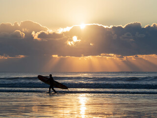 surfer on the beach at sunset