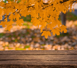 Naklejka na ściany i meble Empty old brown wooden table in front of background of autumn orange trees with bokeh for your display or montage 
