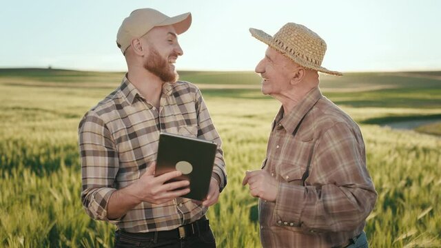 A man is showing an old farmer information on a tablet. They are discussing the harvest. They are smiling. The old farmer is wearing a hat. Sunset in the background. 4K