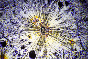 Colorful crystals under microscope, polarization colors, polar filters